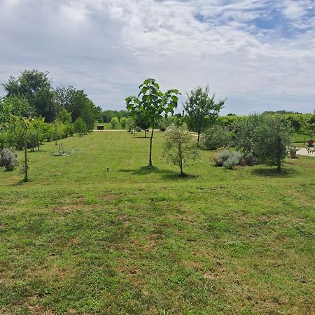 Casa Zafferano - Apartment With Garden Corno di Rosazzo المظهر الخارجي الصورة
