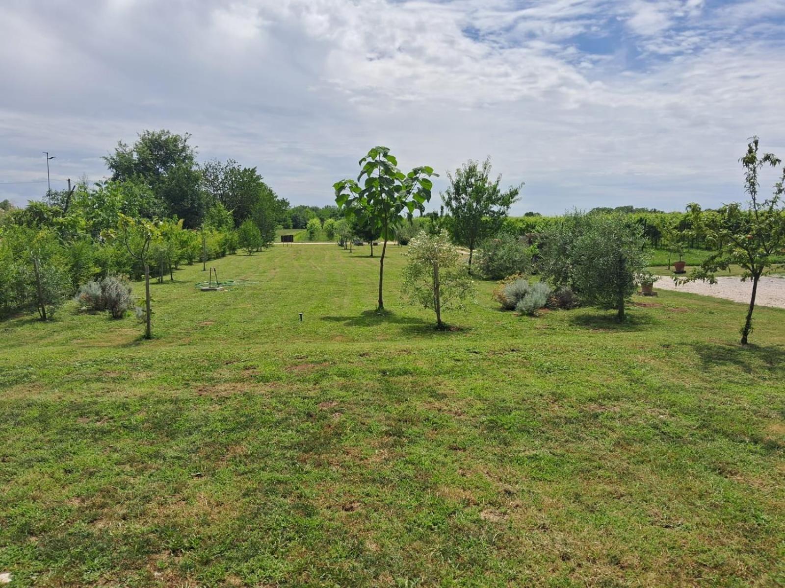 Casa Zafferano - Apartment With Garden Corno di Rosazzo المظهر الخارجي الصورة